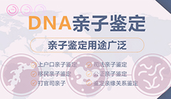 浙江专业亲子鉴定检测中心地址在哪里(附2025最新办理指南) 浙江专业亲子鉴定检测中心地址在哪里(附2025最新办理指南)