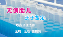 浙江怀孕怎么做亲子鉴定,浙江做怀孕亲子鉴定需要的条件和材料有哪些 浙江怀孕怎么做亲子鉴定,浙江做怀孕亲子鉴定需要的条件和材料有哪些