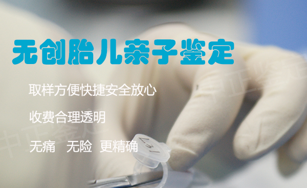 浙江胎儿亲子鉴定需要什么手续,浙江权威产前亲子鉴定中心地址查询 浙江胎儿亲子鉴定需要什么手续,浙江权威产前亲子鉴定中心地址查询